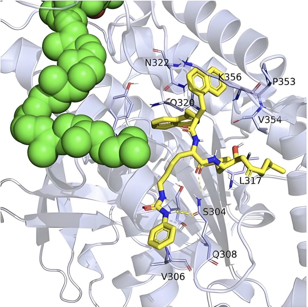 生物蛋白分子动力学